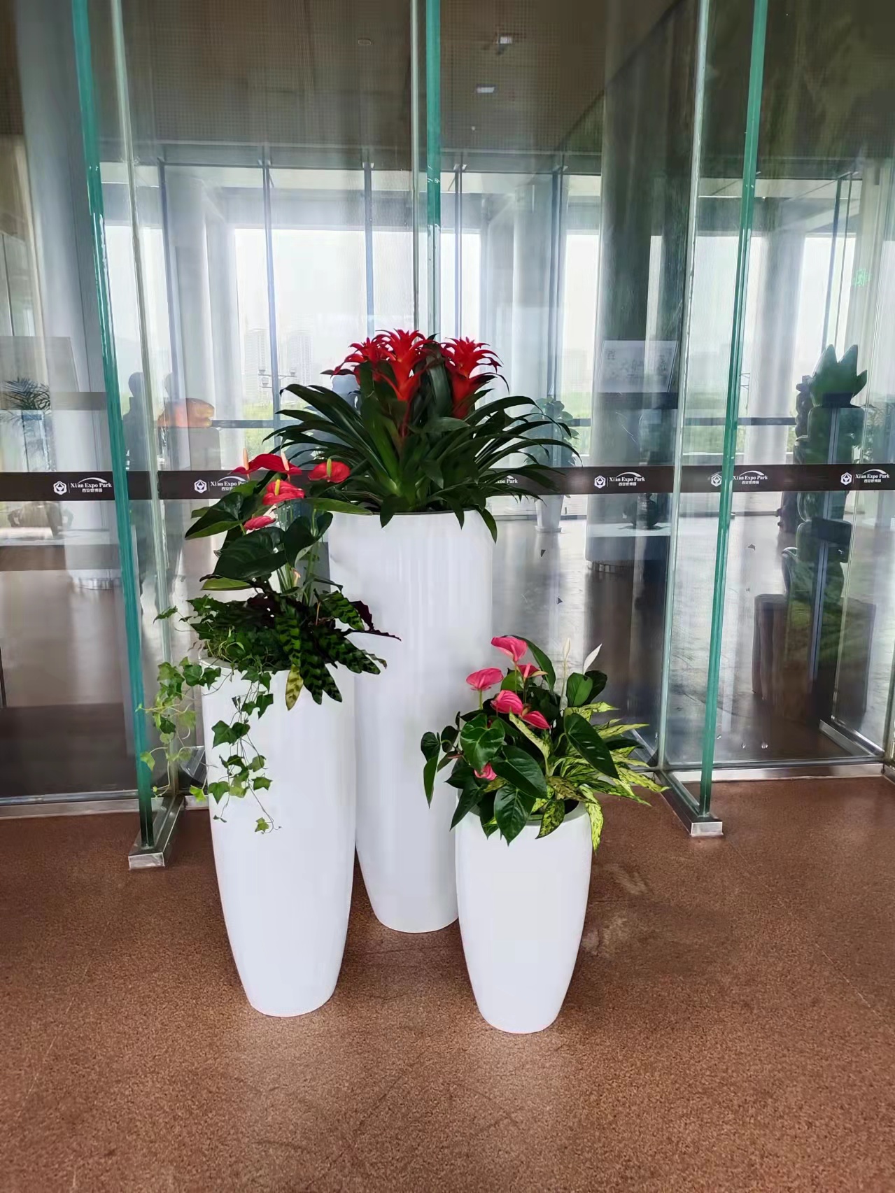 植物租赁