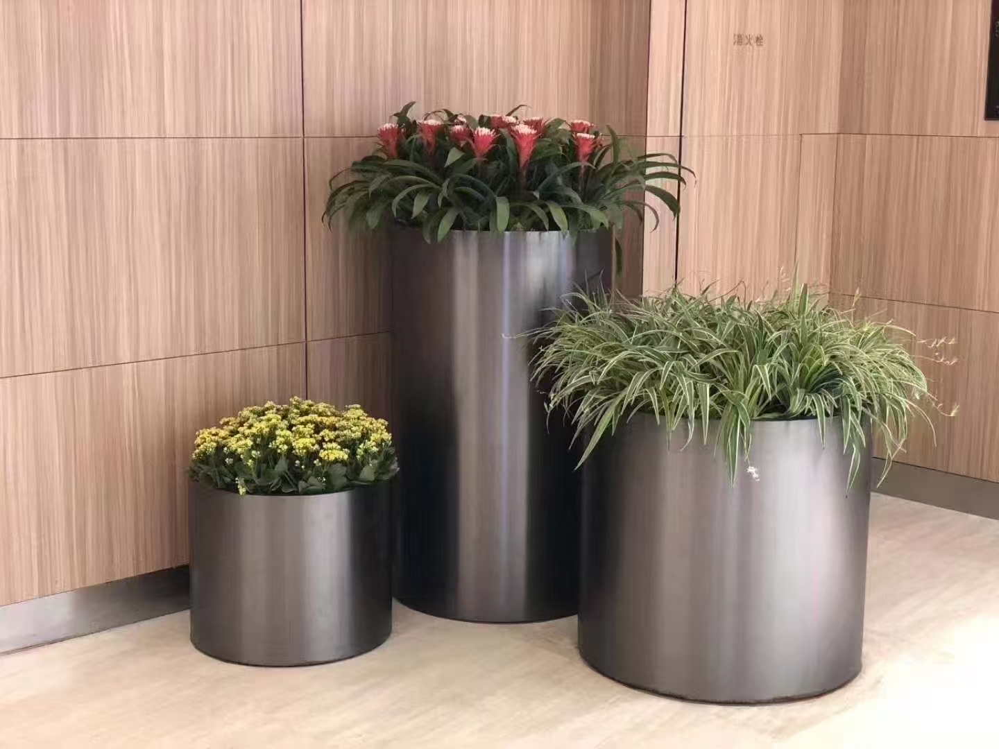 绿植租赁