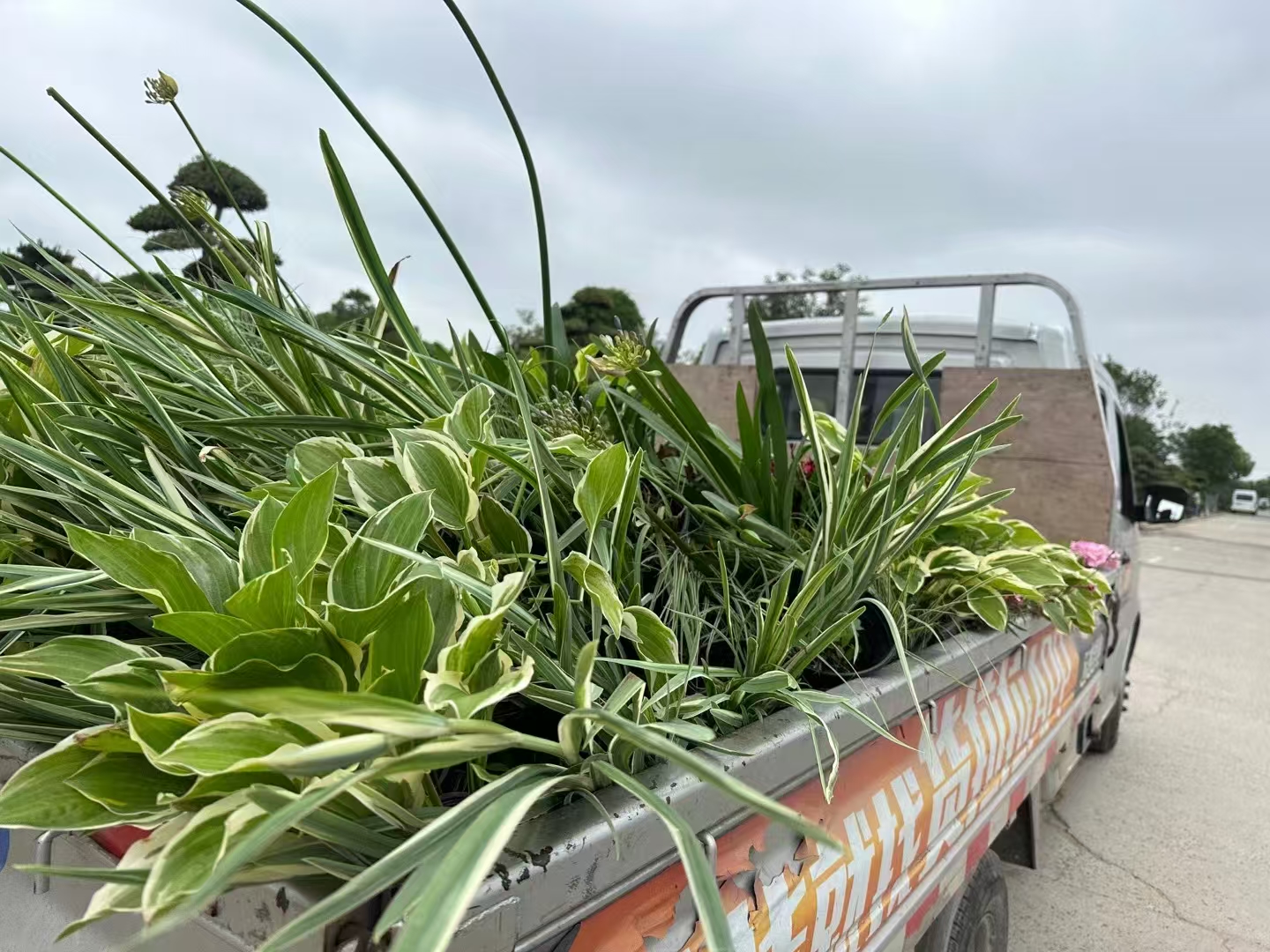 园林景观设计 园林景观设计