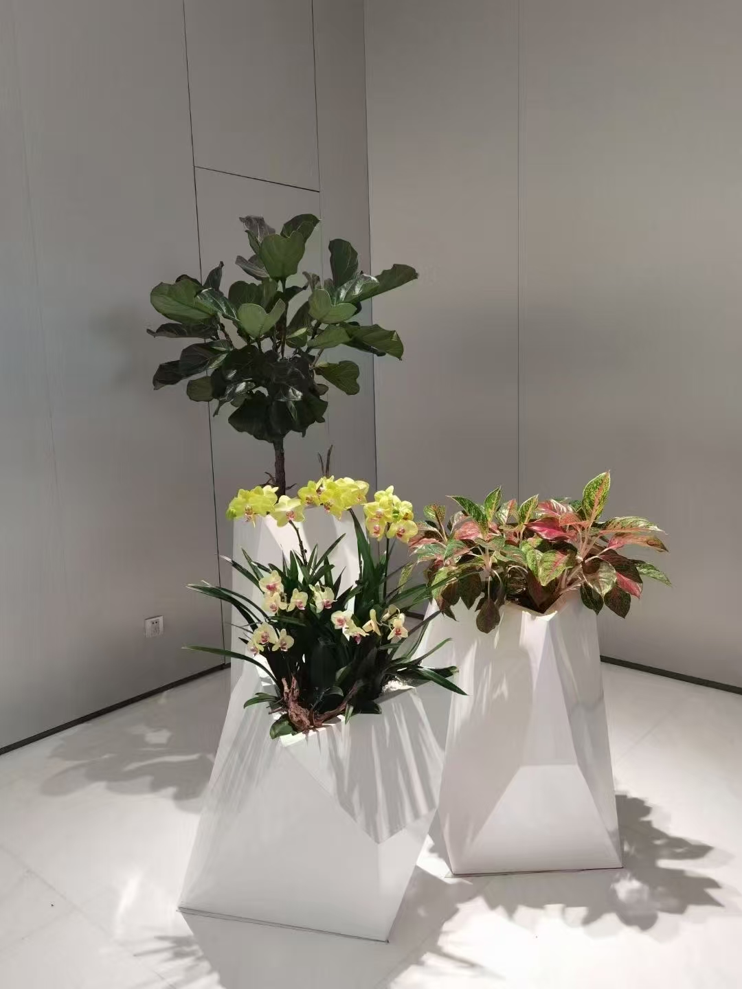 微信图片_20250417141322.jpg