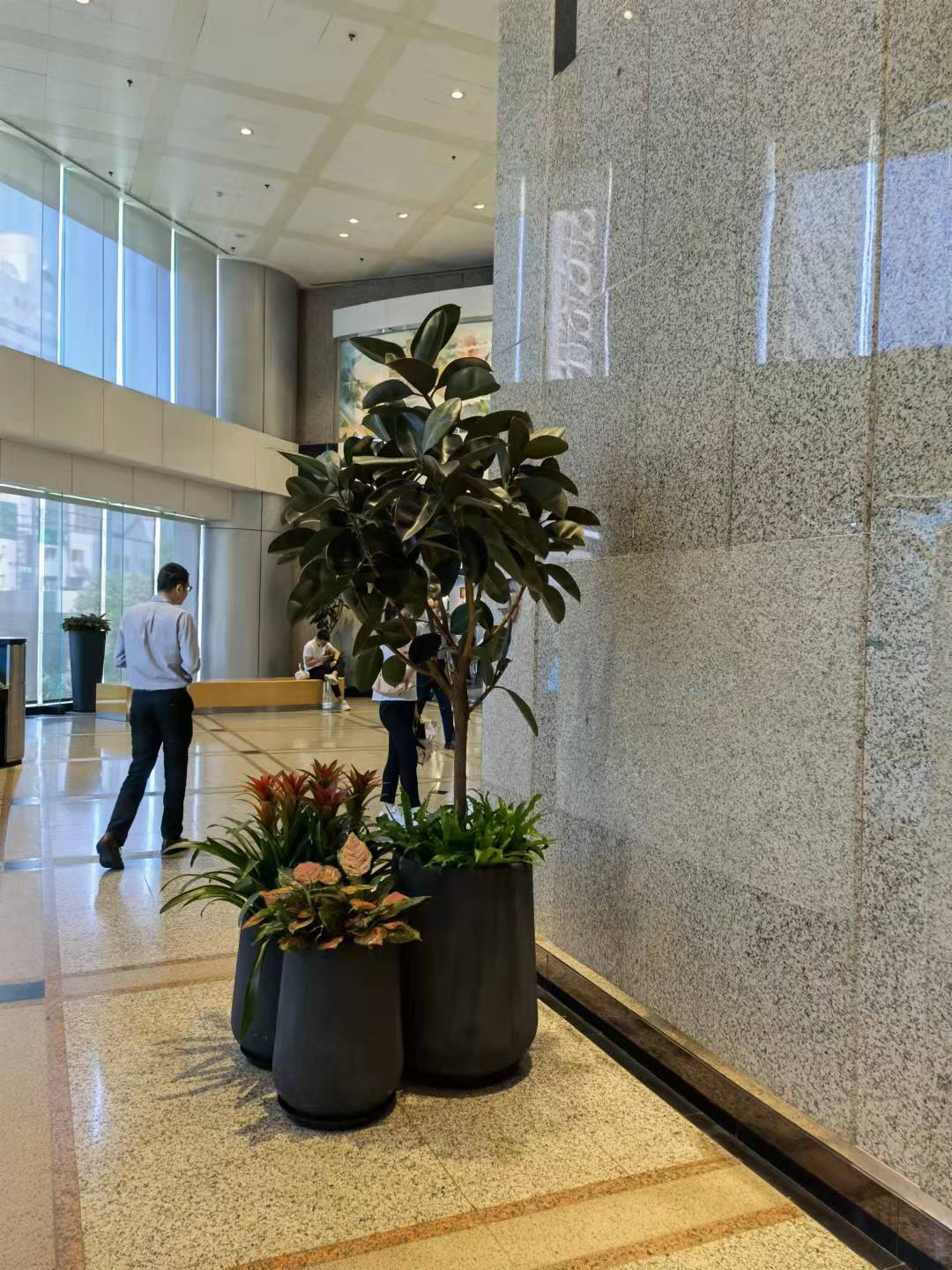 植物租赁