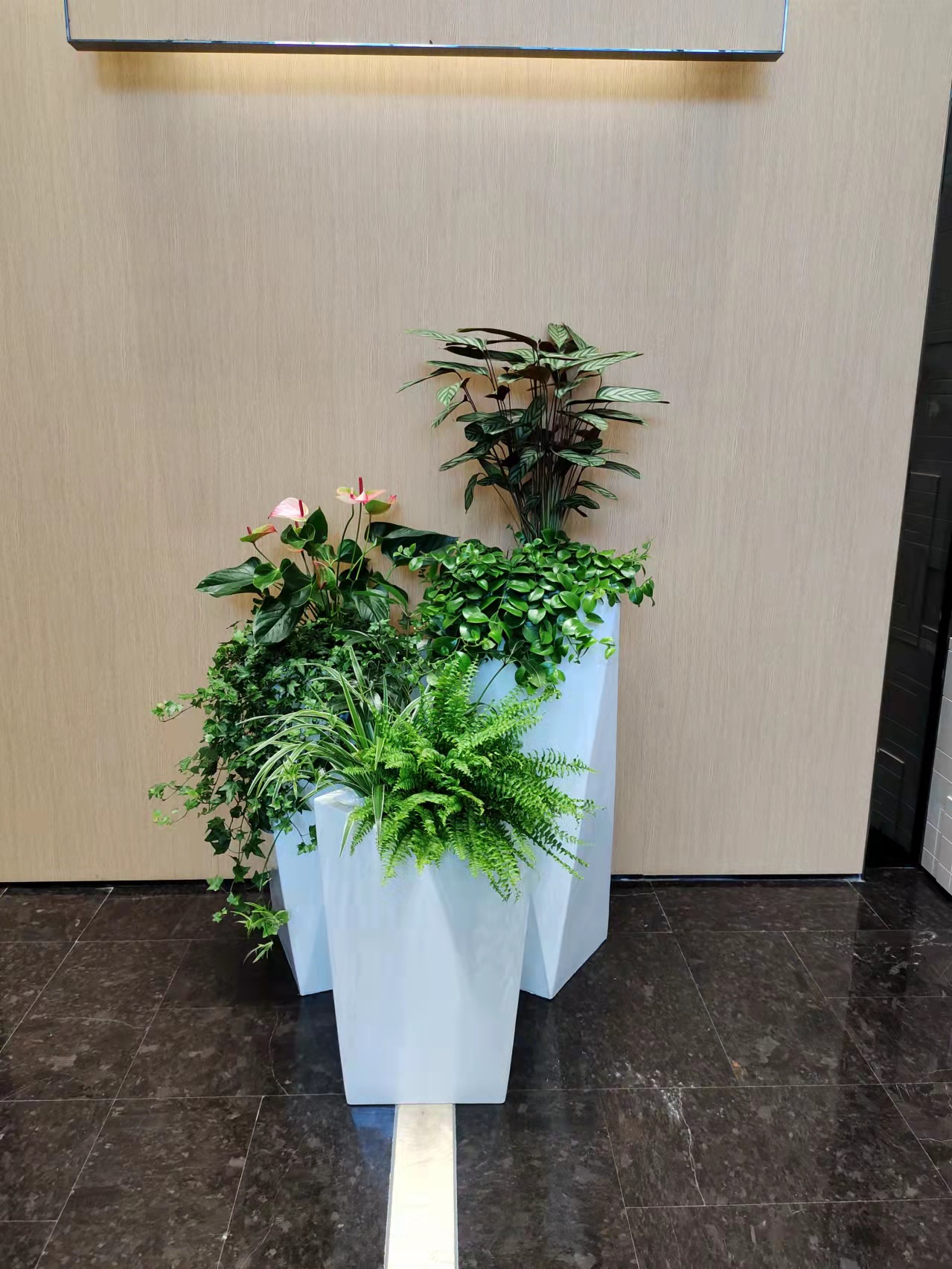 植物租赁