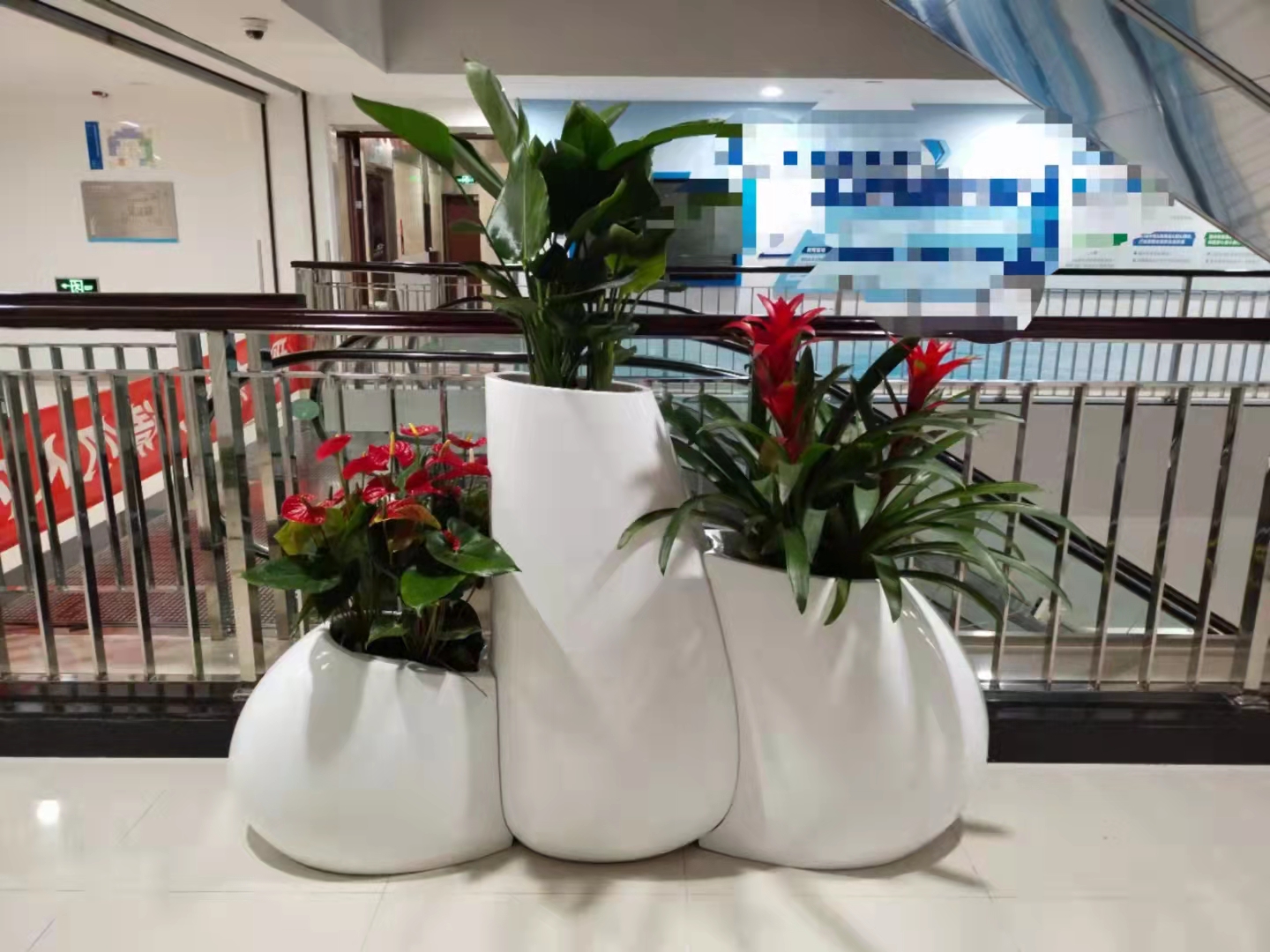 植物租赁