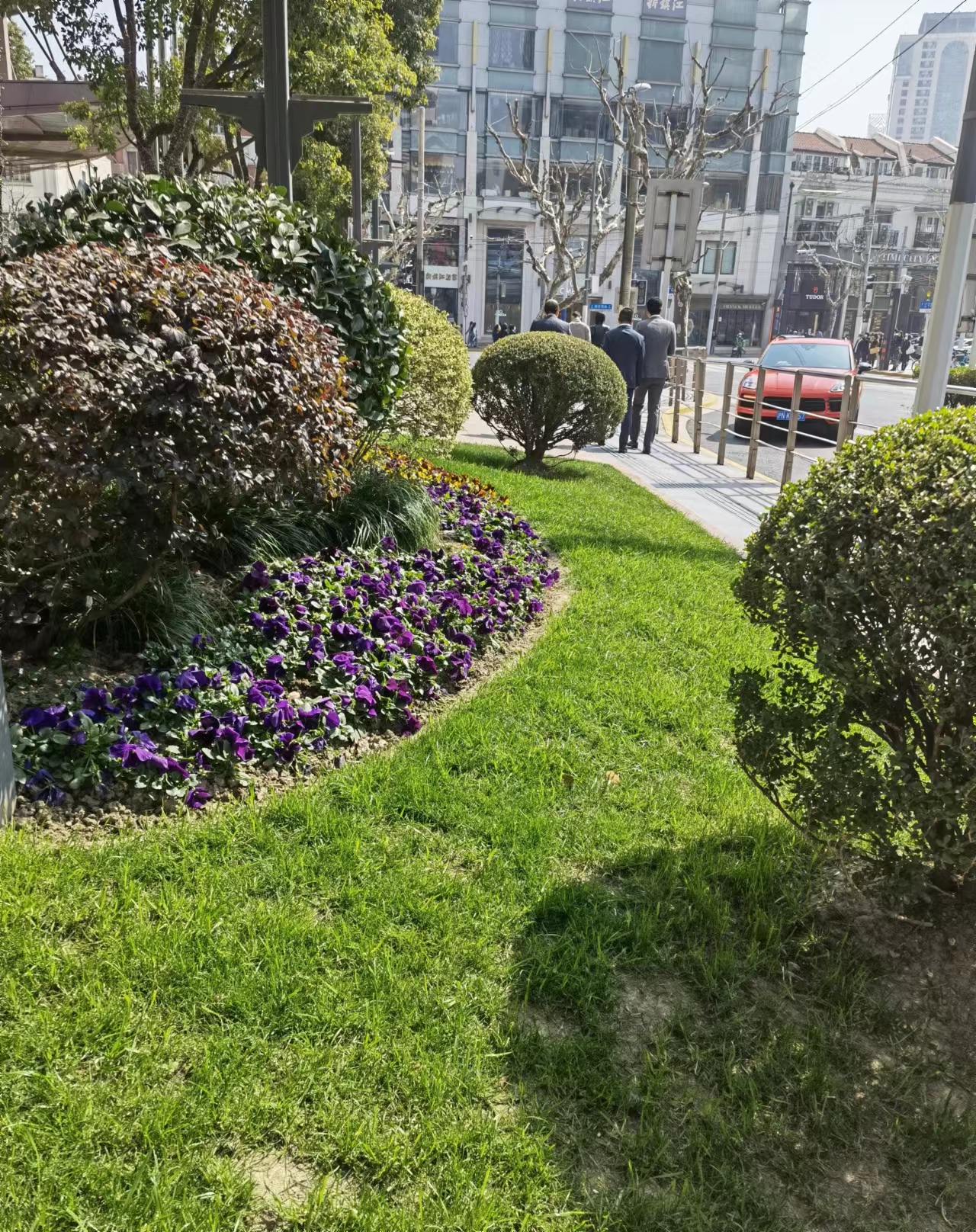 绿植租赁的的优点，三分钟带您了解【最新更新】