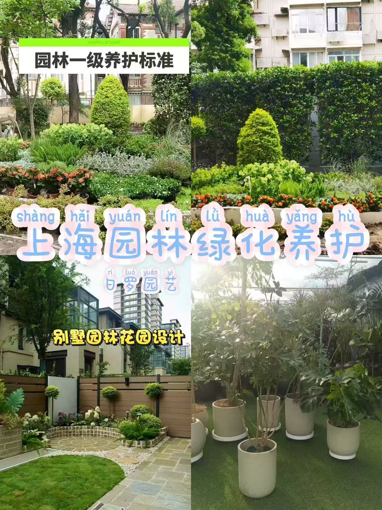 ab78b3d57e7214505fc578ecd573225.jpg