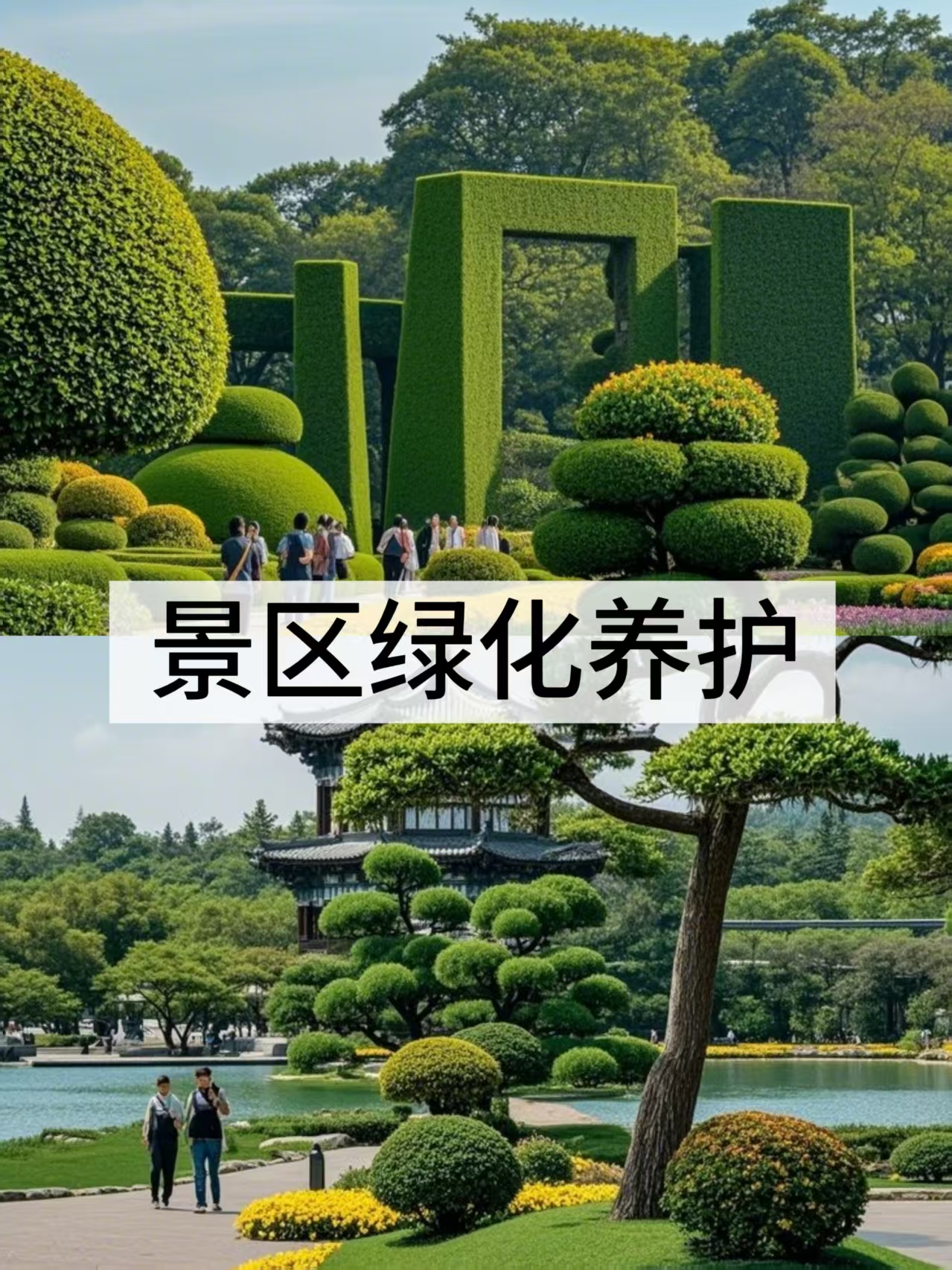 微信图片_20250327110907.jpg