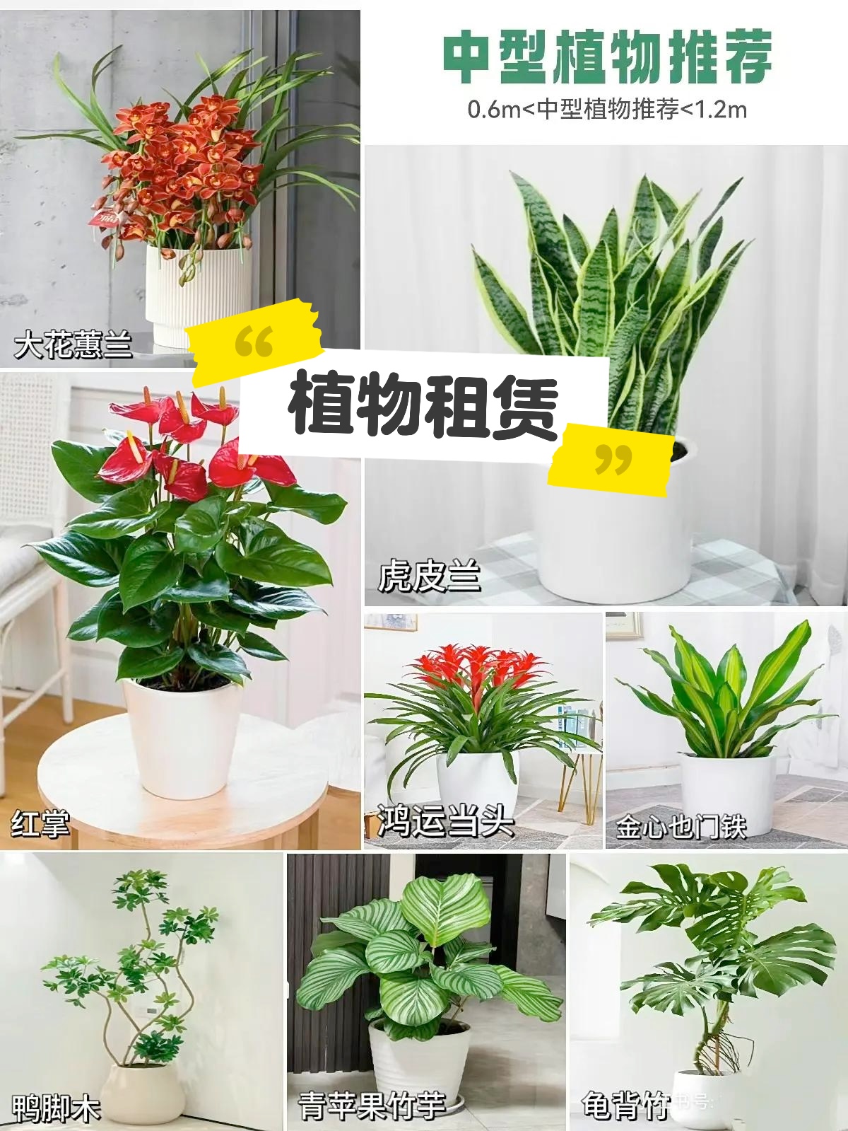 微信图片_20250426155818.jpg